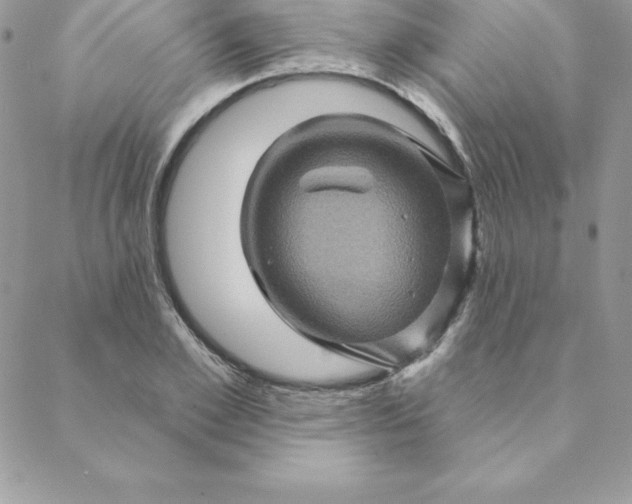 X0000088730981200706141634