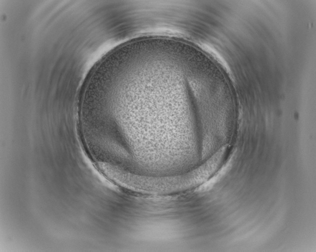 X0000088730989200706141634
