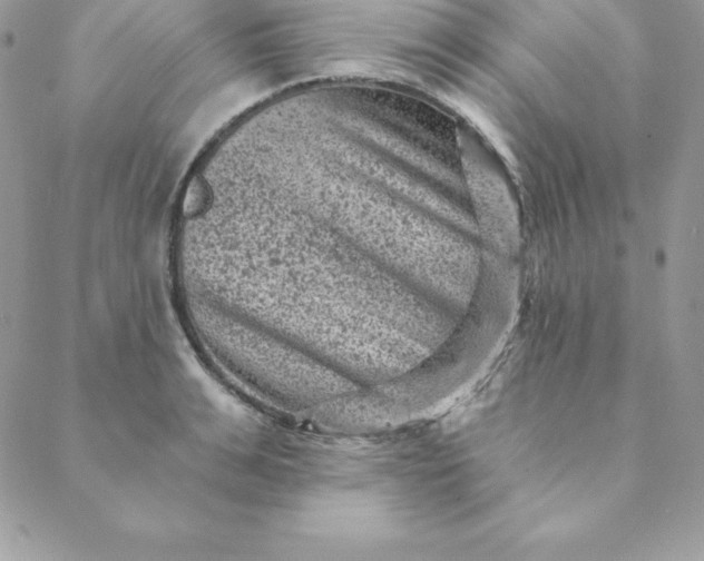 X0000088730991200706141634