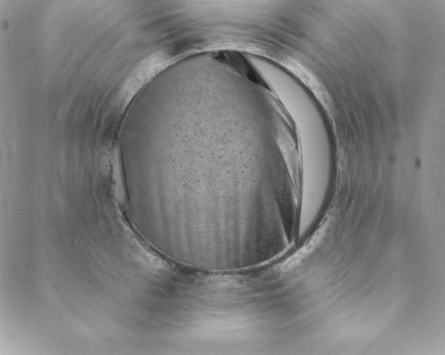 X0000088730993200706141633