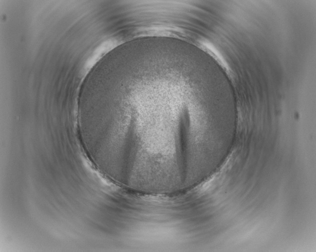 X0000088730994200706141633