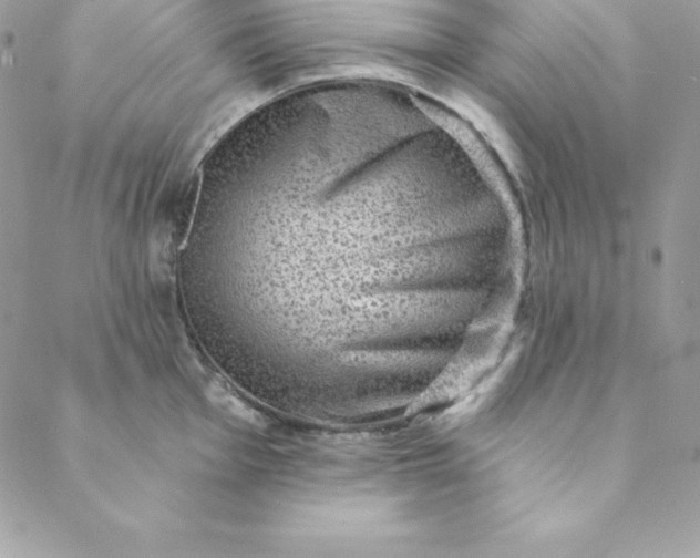 X0000088731001200706141633