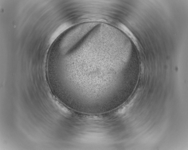 X0000088731002200706141633