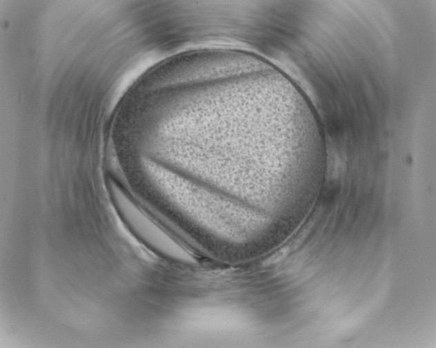 X0000088731006200706141633