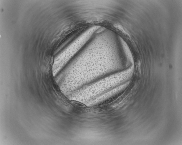 X0000088731012200706141633