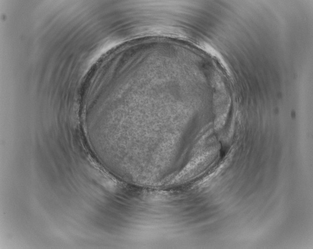 X0000088731019200706141633