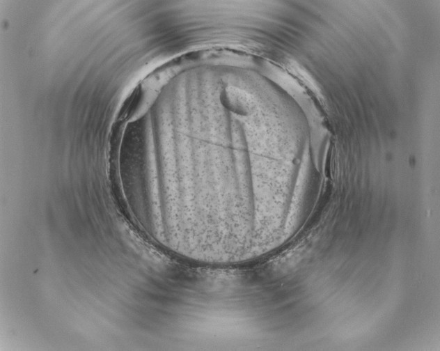 X0000088731020200706141633