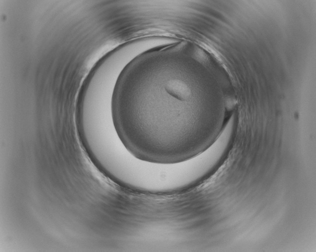 X0000088731034200706141633