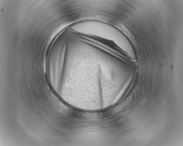 X0000088731036200706141633