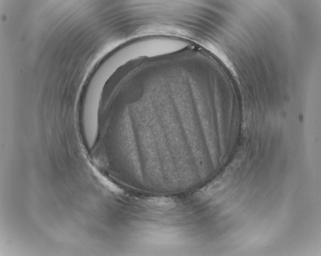 X0000088731037200706141633