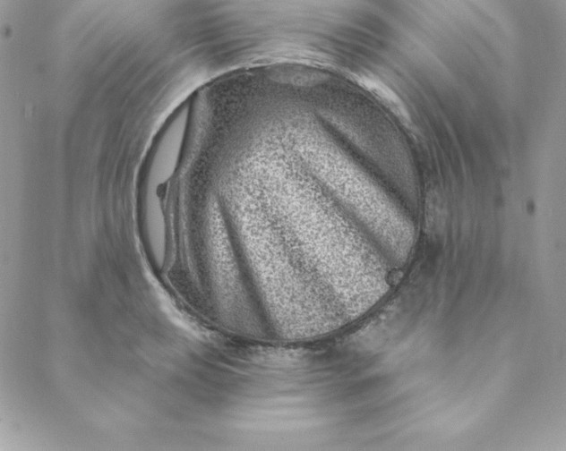 X0000088731039200706141633