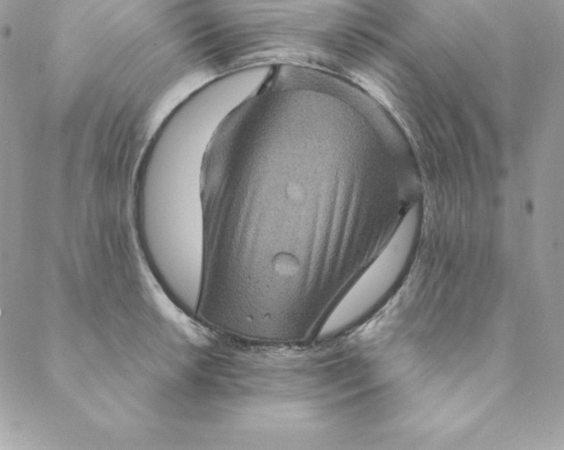 X0000088731042200706141633