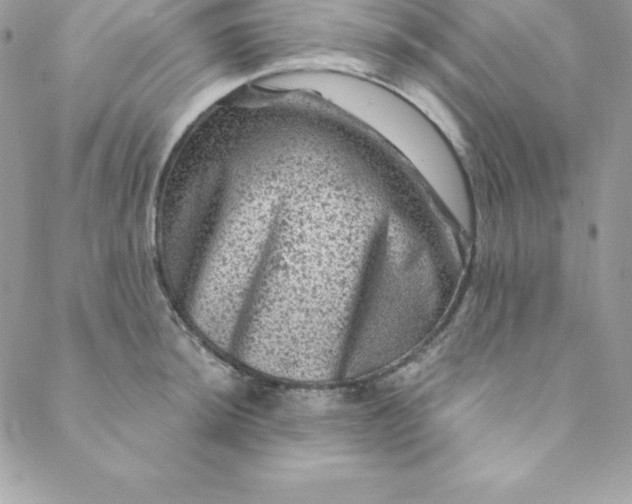 X0000088731044200706141633