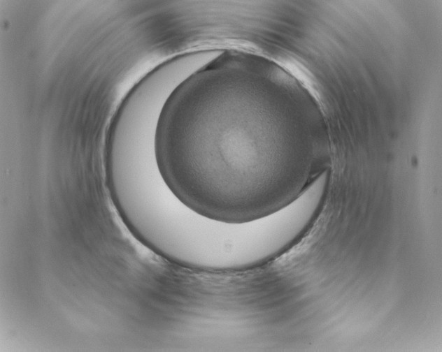 X0000088731046200706141633
