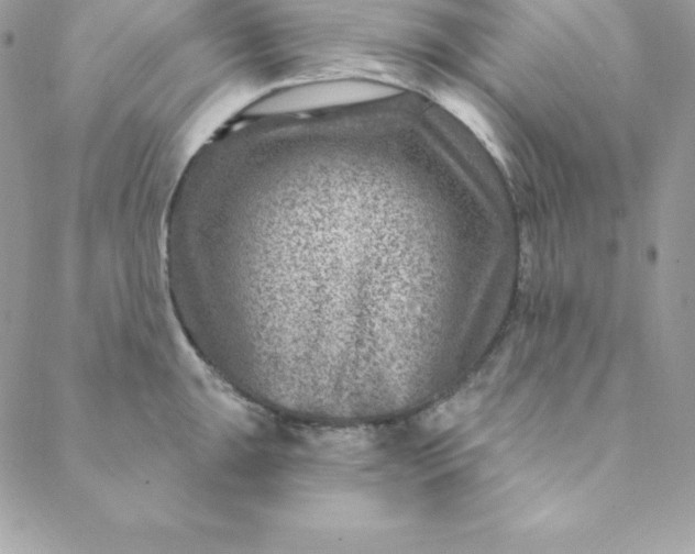 X0000088731047200706141633