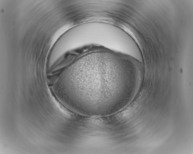 X0000088731050200706141633