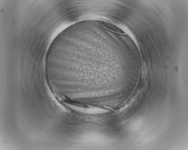 X0000088731053200706141633