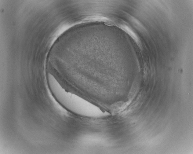 X0000088731055200706141633