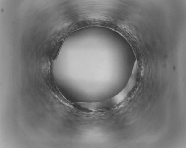 X0000088731061200706141632