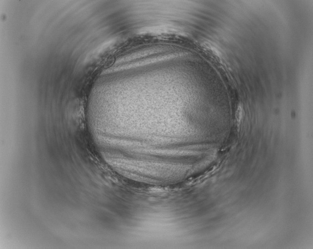 X0000088731062200706141632