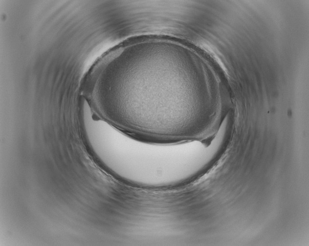 X0000088731069200706141632