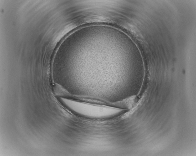 X0000088731073200706141632