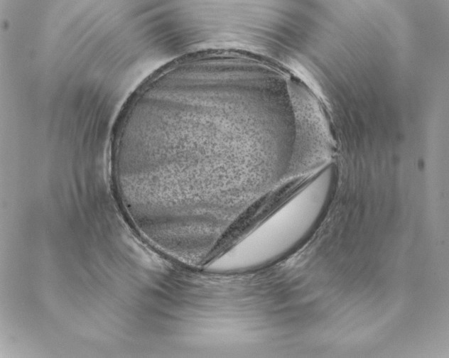 X0000088731076200706141632