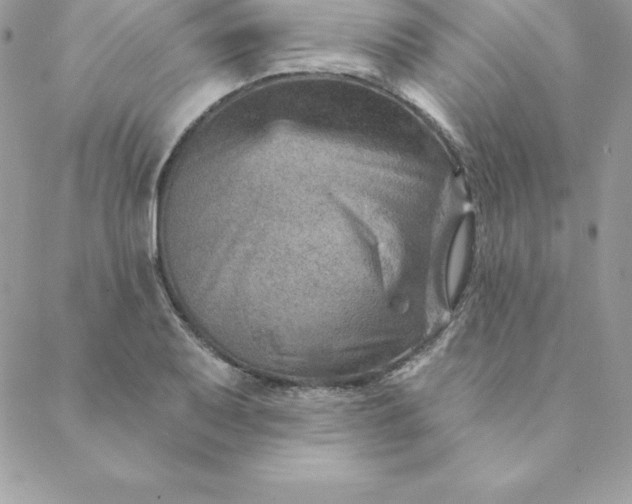 X0000088731079200706141632