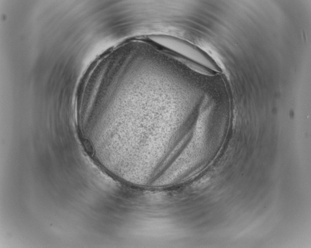 X0000088731080200706141632