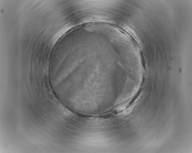 X0000088731081200706141632