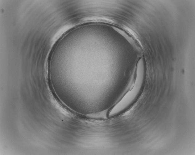 X0000088731082200706141632