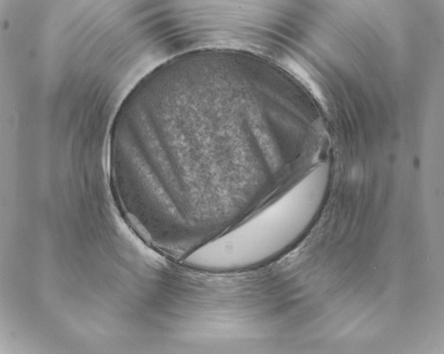 X0000088731084200706141632