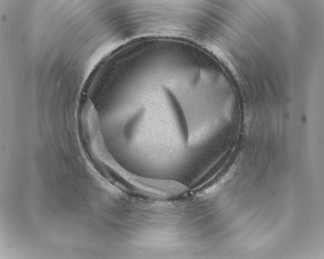 X0000088731085200706141632