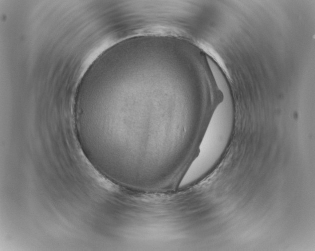 X0000088731091200706141632