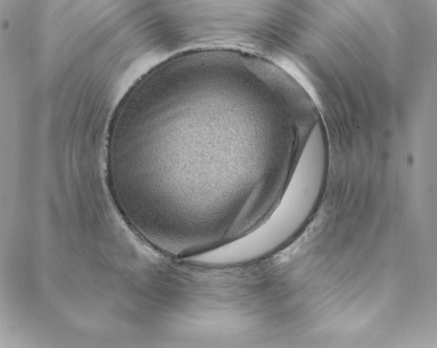 X0000088731093200706141632