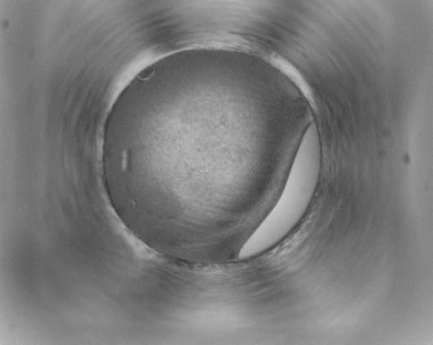 X0000088731099200706141632