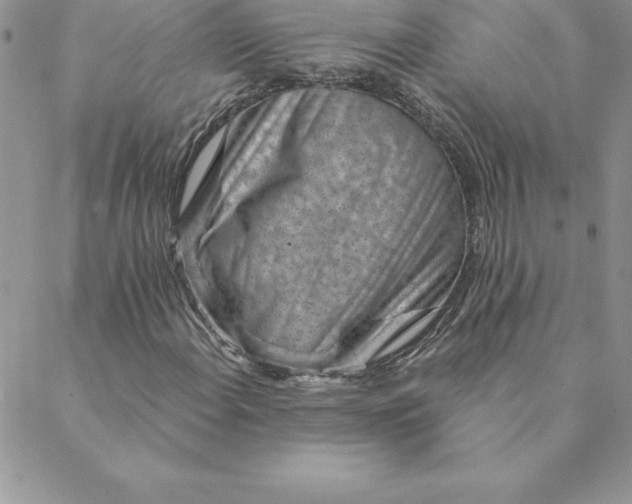 X0000088731108200706141631