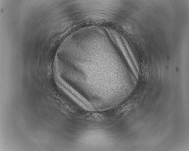 X0000088731109200706141631