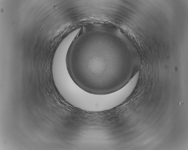 X0000088731110200706141631