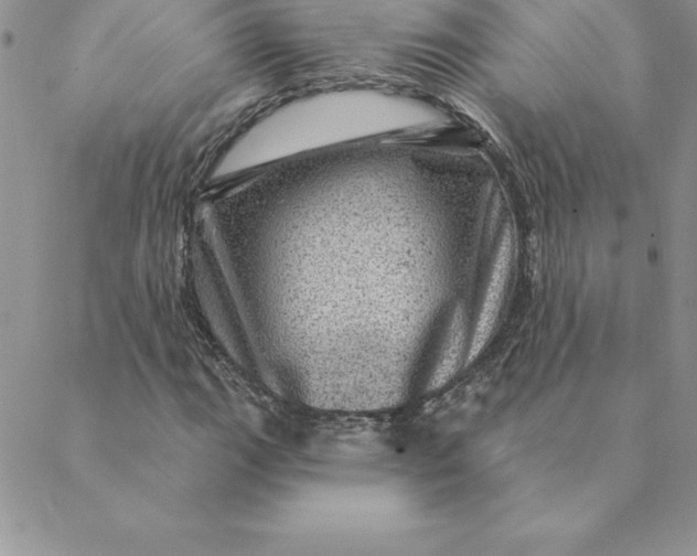 X0000088731111200706141631