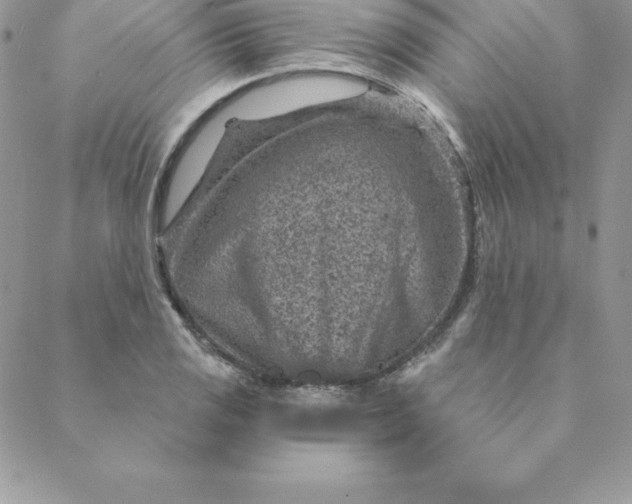 X0000088731125200706141631
