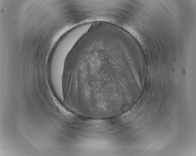 X0000088731127200706141631