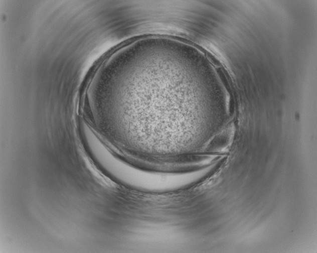X0000088731128200706141631
