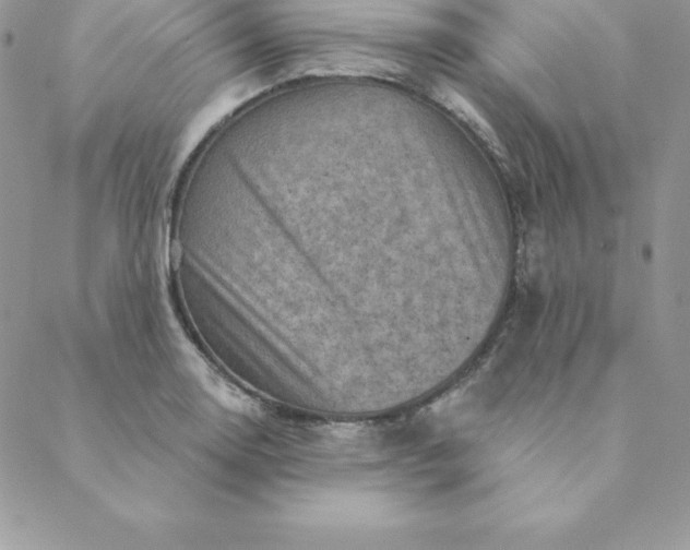 X0000088731130200706141631