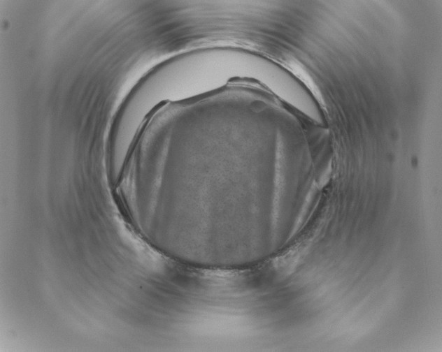 X0000088731132200706141631