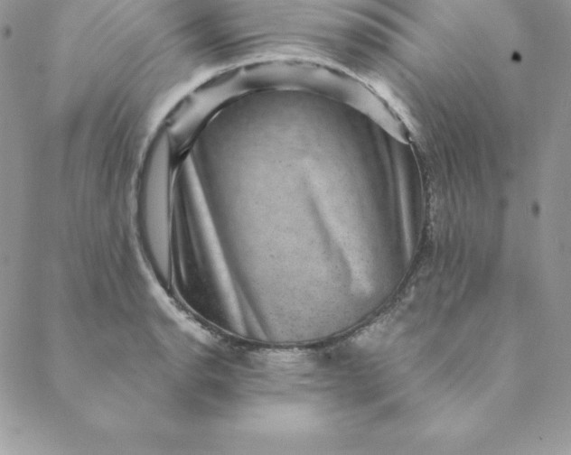 X0000088731134200706141631