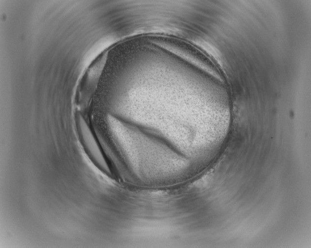 X0000088731135200706141631