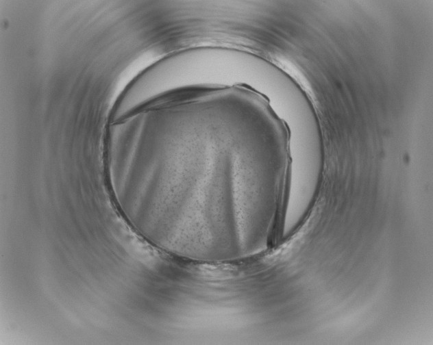 X0000088731138200706141631