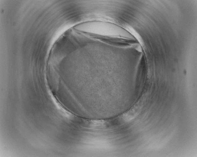 X0000088731144200706141632