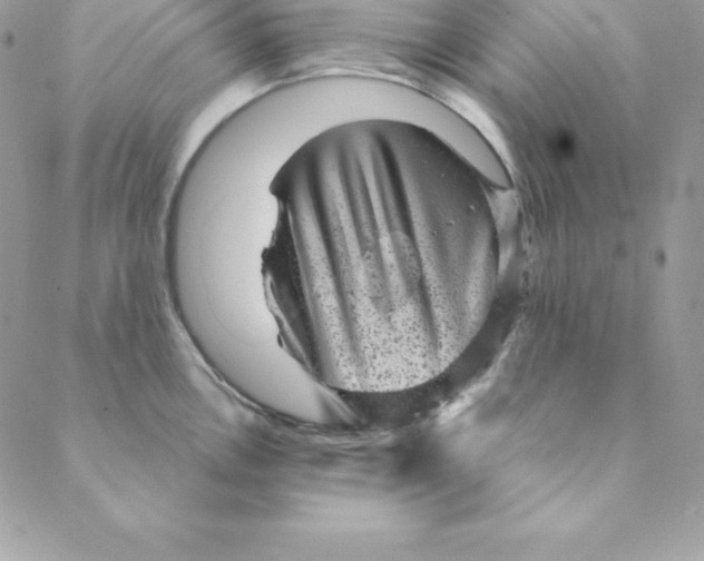 X0000088731146200706141632